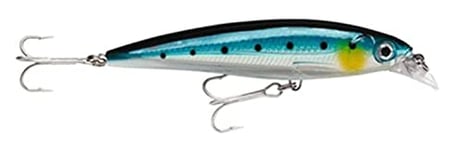 Rapala X-Rap Saltwater Fishing Lure (Blue Sardine, Size- 4)