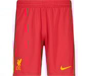 Liverpool FC Home 24/25 M träningsshorts Herr GYM RED/WHITE/CHROME YELLOW XL