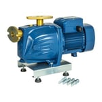 Pedrollo Jetpump JSW 2CX ersättare till ringpump 70 liter / minut (3x400V)