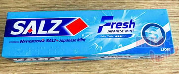 Salz FRESH Toothpaste All Protection Salty with Hypertonic Salt Q10 Fluoride 90g