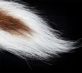 Bucktail - Fluo White