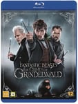 Fantastiska Vidunder: Grindelwalds brott (Blu-ray)