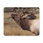 Deer Wilderness Elk in Rocky Mountain National Park Rectangle Non Slip Rubber Mouse Pad Gaming Mousepad Mat for Office Home Woman Man Employee Boss Work
