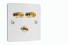  Speaker Wall Plate 1.1 Chrome 2 Gold Binding Posts + 1 RCA Sub Woofer Socket