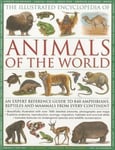 Anness Publishing Tom Jackson The Illustrated Encyclopedia of Animals the World: An Expert Reference Guide to 840 Amphibians, Reptiles and Mammals from Every Continent
