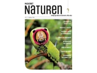 Magasinet Naturen Nr. 2 - 2024 | Morten Top Og Klavs Holm | Språk: Danska