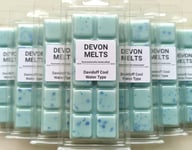 Devon Melts - Davidoff Cool Water Type - Highly Scented 100% Soy Wax Snapbar