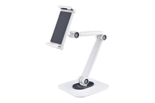 StarTech.com Adjustable Tablet Stand for Desk, Desk/Wall Mountable, Supports Up to 2.2lb, Universal Tablet Stand Holder for Desk, Articulating Tablet Mount with Pivot/Swivel/Rotate - Ergonomic Tablet Stand (ADJ-TABLET-STAND-W) stativ - for tablet - hvid