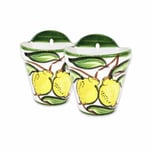 Lemons Hand Painted Set of 2 Outdoor Garden Patio Hanging Plant Pots (D) 22cm