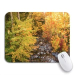 Gaming Mouse Pad View of The White Mountain National Forest from Conway Nonslip Rubber Backing Computer Mousepad for Notebooks Mouse Mats