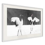 Arkiio Poster Affisch Dancing Cranes