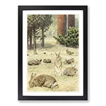Big Box Art Vintage Karl Ludwig Hartig Wild Rabbits Framed Wall Art Picture Print Ready to Hang, Black A2 (62 x 45 cm)