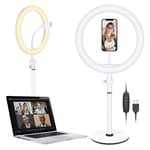 Neewer Table Top 10-inch USB LED Ring Light, Video Conference Lighting for Zoom Meeting/Video Calls/Webcam Streaming/Self Broadcasting/YouTube/TikTok/Makeup, 3200K-5600K/3 Light Modes/Phone Holder
