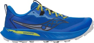 Saucony Peregrine 15 M Trailskor Skydiver/Pickle, US 13