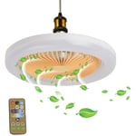Tlily - Ventilateur de Plafond avec LumièRe 30W TéLéCommande IntéRieur led LumièRe Silencieux Chambre Cuisine DéCor Lampe Ventilateurs led Smart Fan