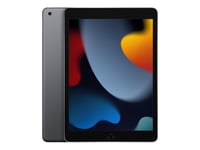 Apple iPad 10,2'' Wi-Fi (9.gen) 256GB, stellargrå