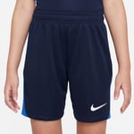 Nike Treningsshorts Dri-FIT Academy Pro - Navy/Blå/Hvit Barn unisex