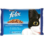 Felix Purina Gelatin Cat Food with Fish Assortment 10 x [4 x 100g]