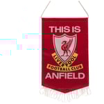 Liverpool Vimpel Mini TIA