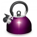 Small 3 L Stainless Steel Whistling Kettle Electric Gas Hob Camping Purple