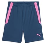 PUMA Träningsshorts teamLIGA 2 - Navy/Rosa, storlek 3XL