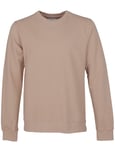 Colorful Standard Organic Cotton Crew Sweat - Desert Khaki Colour: Desert Khaki, Size: Small