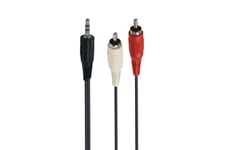 Câble et Connectique Accsup CABLE JACK 3,5 MALE / 2 X RCA MALES 5M NOIR