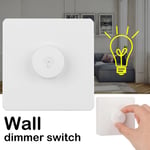 220V Brand New White Professional Brightness Controller Lamp Light Switch Dimmer