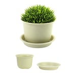 Plastic Plant Pots - Set of 10 | Bonsai Pots and Trays | Indoor & Outdoor Flower Pots | Set of Nursery Seedling Planters | Home Decor | Pukkr (Large)