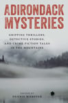 Dennis Webster - Adirondack Mysteries Gripping Thrillers, Detective Stories, and Crime Fiction Tales in the Mountains Bok