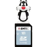 Pack Support de Stockage Rapide et Performant : Clé USB - 2.0 - Série Licence - Hanna Barbera - 16 Go + Carte MicroSD - Gamme Classic - Classe 10-16 GB