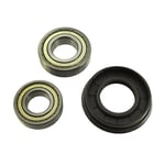 Paxanpax 54-AG-02 Non Original Drum Bearing and Oil Seal Kit Fits for AEG 500/600/800/900/61300/72600/74600/86700 Carat/Baronesse/Rondo Series, 850 RPM