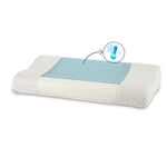 Ergonomisk kudde - Svalkande hälsokudde - 50x30x6/10 cm - Borg Living
