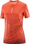 Salomon Women's S/LAB Ultra Tee Aop Burnt Sienna/decadent Chocolate/, L