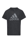 Future Icons Cotton Loose Badge Of Sport T-Shirt Sport T-shirts Short-sleeved Black Adidas Sportswear