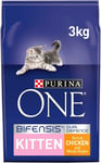 Purina One Kitten Chicken & Whole Grains Cat Food | Cats