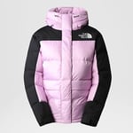 The North Face Women's Himalayan Down Parka TIN GREY STRIPES PRINT (4R2W RAW)