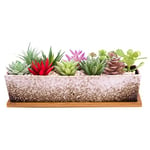 Grands Pots de Plantes succulentes avec Drainage, Pot de bonsaï rectangulaire de 30,5 cm de Long avec Plateau Peu Profond en céramique Cactus Fleur Plante fenêtre pour Jardin à la Maison