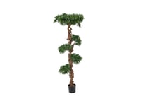 EUROPALMS Bonsai tree, artificial plant, 180cm, Europalms Bonsai träd, 180cm