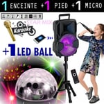 PACK ENCEINTE SONO KARAOKÉ ENFANT + JEU DE LUMIERE LED BALL + PIEDS + MICROS + USB BLUETOOTH BATTERIE idéal cadeau NOËL