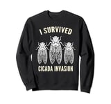 Survived Cicada Invasion Insect Bug Infestation Cicadas Sweatshirt