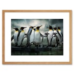 Emperor Penguin Birds Nature Animal Wildlife Photograph Artwork Framed Wall Art Print 12X16 Inch