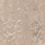 Forbo Linoleumgolv Marmoleum Modular Marble Horse Roan t3232-5025F