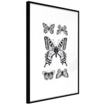 Plakat - Five Butterflies - 40 x 60 cm - Sort ramme