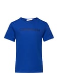 Institutional T-Shirt *Villkorat Erbjudande T-shirts Short-sleeved Blå Calvin Klein