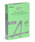 Rey Färgat kopieringspapper Adagio A4 80 g 500/fp Leaf Green