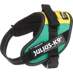 Julius-K9 IDC Sele Mini Africa Style 49-67 cm Röd/Grön/Gul
