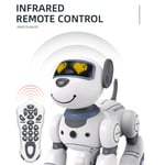 02 015 Remote Control Robot Dog Intelligent Birthday Gift Volume Adjustable