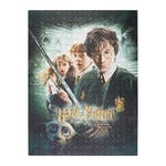 Grupo Erik - Puzzle 500 Pièces Harry Potter et la Chambre des Secrets | Puzzle Adulte et Enfant, Affiche Harry Potter