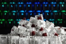 Glorious Pc Gaming Race Kai-Copper, Tangentbordsswitchar, Koppar